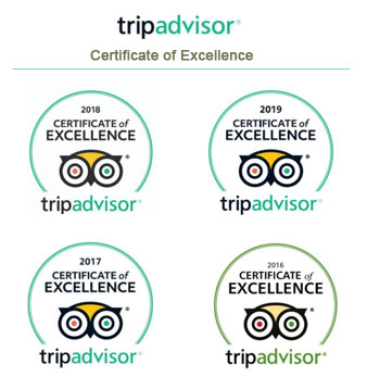 Certificate of Excellence